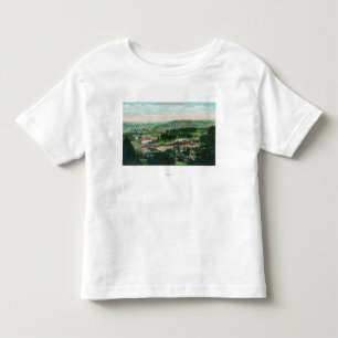 Aerial View of the TownColfax, CA Toddler T-shirt