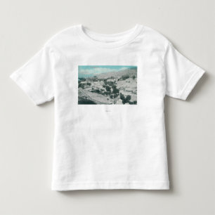 Aerial View of the TownMariposa, CA Toddler T-shirt