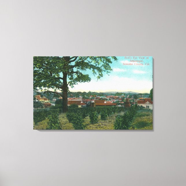 Aerial View of the TownSebastopol, CA Canvas Print (Front)