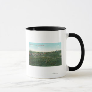 Aerial View of Town, Sonoma County from the Hill Mug