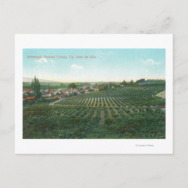 Aerial View of Town, Sonoma County from the Hill Postcard (Front)