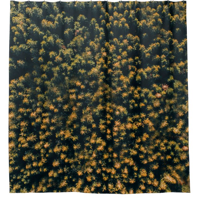 Aerial view of trees (Front)