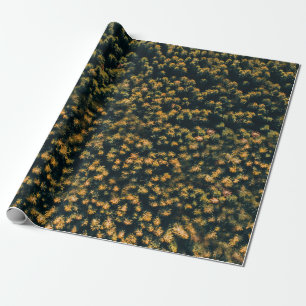 Aerial view of trees wrapping paper