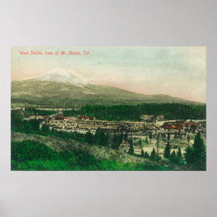 Aerial View of Weed Station at Mt. Shasta Base Poster