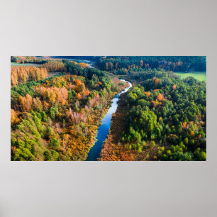 Aerial View of Winding River Sunny Autumn Forest Poster