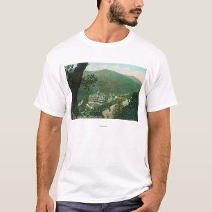 Aerial View of Witter Springs Hotel Exterior T-Shirt