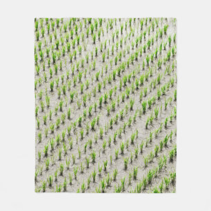 Aerial view photography of rice crops during dayti fleece blanket