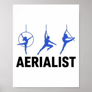 Aerialist Aerial Silk Yoga Gymnasts Acrots Trapeze Poster