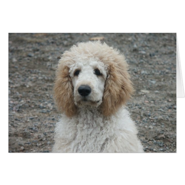 Aero-4 (Devant horizontal)