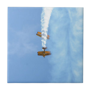 Aerobatic Biplanes Tile