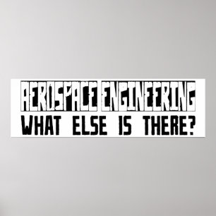 Aerospace Engineering What Else Is There? Poster