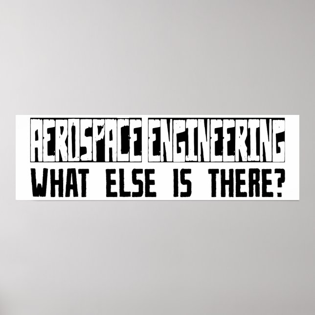 Aerospace Engineering What Else Is There? Poster (Front)