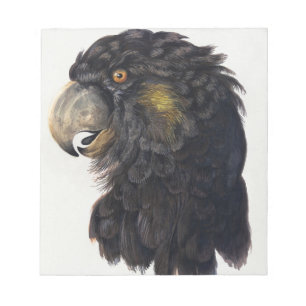 Aert Schouman Bird Head Notepad