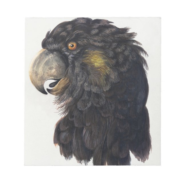Aert Schouman Bird Head Notepad (Front)