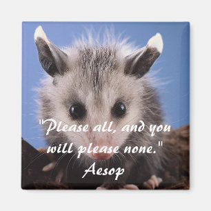 Aesop Quote & Adorable Opossum Magnet