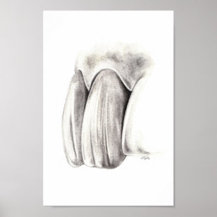 Aesthetic Dentistry Poster