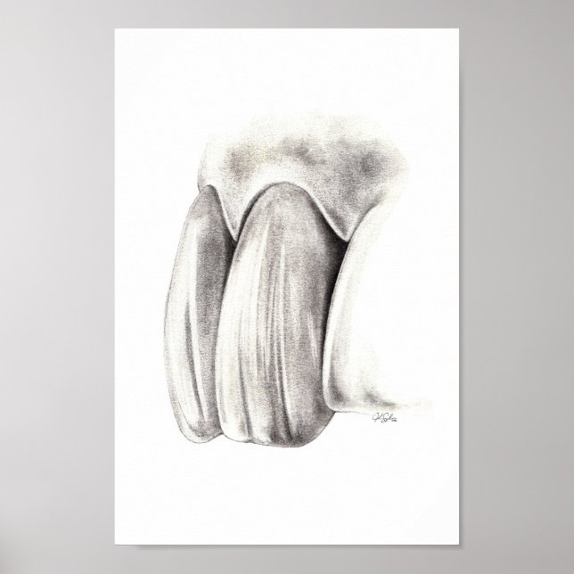 Aesthetic Dentistry Poster (Front)