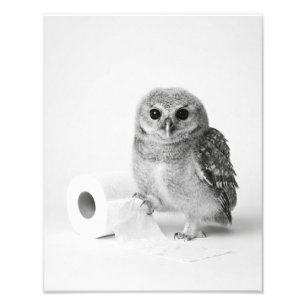 Aesthetic Minimalist Baby Owl Holding Toilet Paper Photo Print