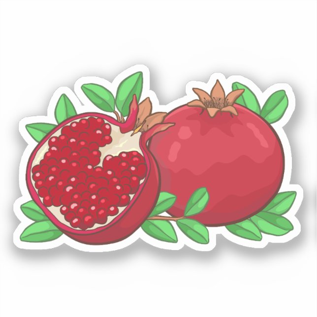 Aesthetic Pomegranate Artwork (Front)