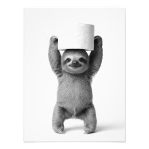 Aesthetic Smiling Sloth Lifts Toilet Paper Roll Photo Print