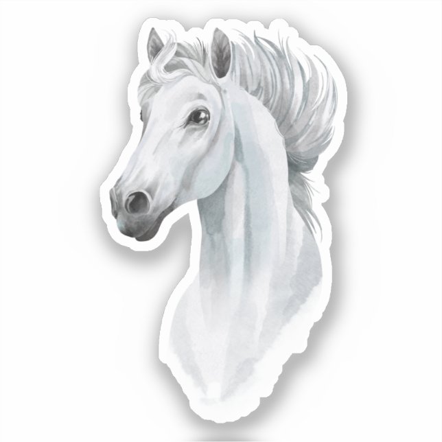 Aesthetic Watercolor White Arabian Horse (Front)
