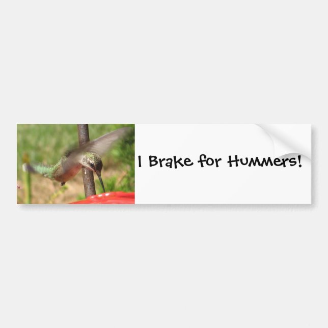 AF- Hummingbird Bumpersticker Bumper Sticker (Front)