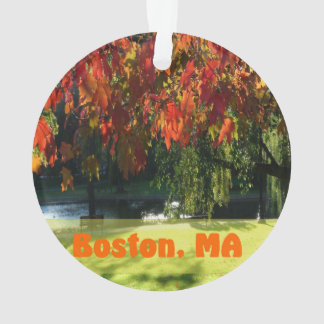 Affaire Foliage de Boston
