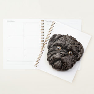Affenpinscher 3D Inspired Planner