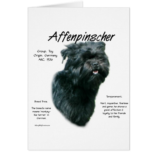 Affenpinscher History Design (Front)
