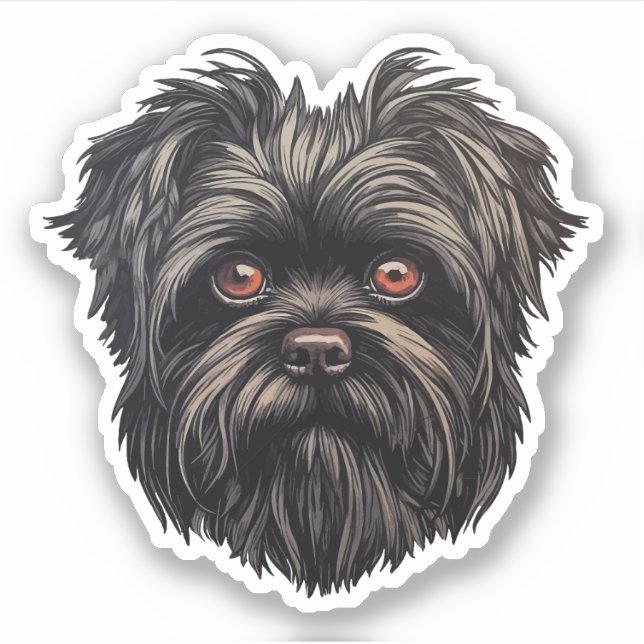 Affenpinscher Monkey Dog Affens Terrier (Front)