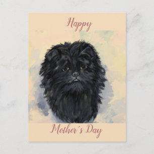 Affenpinscher Postcard