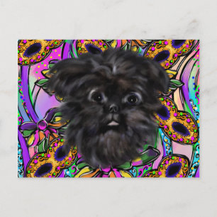 Affenpinscher  postcard