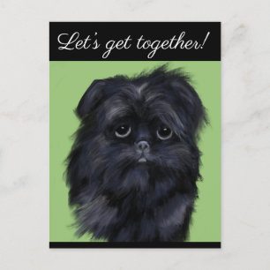 AFFENPINSCHER             POSTCARD