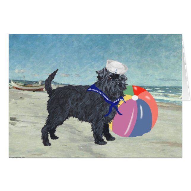 Affenpinscher Sailor (Front Horizontal)