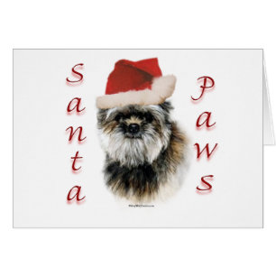 Affenpinscher Santa Paws