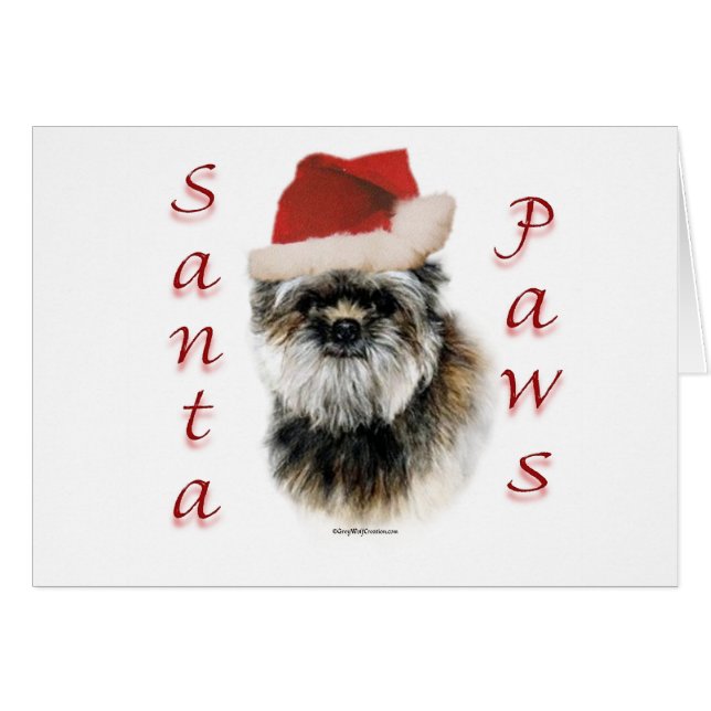 Affenpinscher Santa Paws (Front Horizontal)