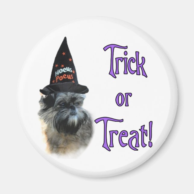 Affenpinscher Trick Magnet (Front)