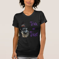 Affenpinscher Trick