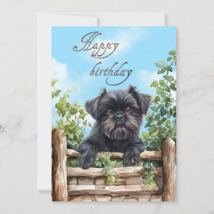 Affenpinscher Watercolor Dog Peeking Over Fence Holiday Card