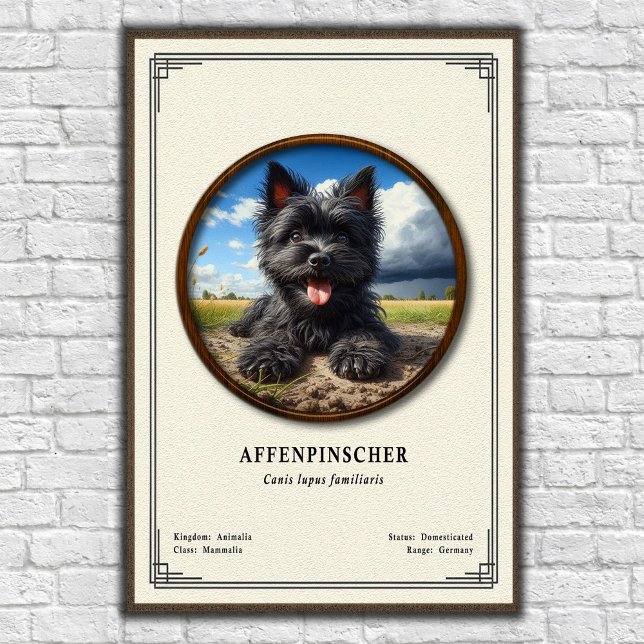 Affenpinscher Zoology Series Poster (Creator Uploaded)