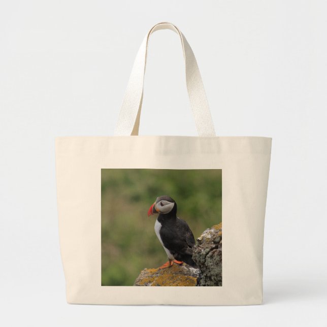 Affermissez comme sac de macareux de roche (Devant)