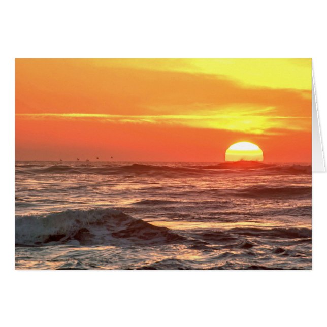 Affichage de coucher du soleil d'océan (Devant horizontal)