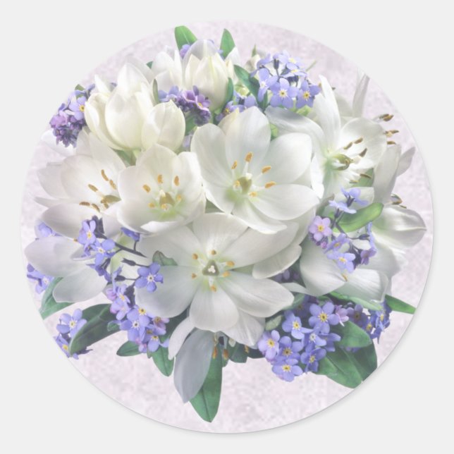 Affichage de ressort. Crocus et autocollant de (Devant)