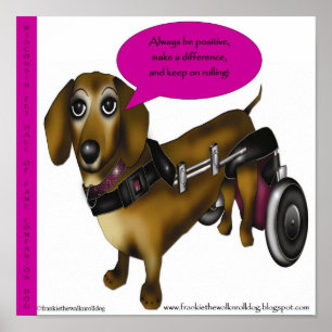 affiche 11 X 11 frankie