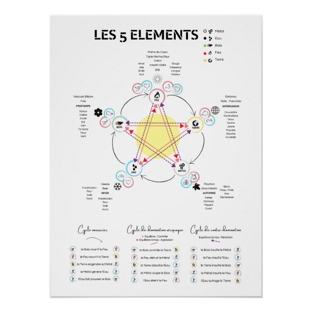 Affiche 5 éléments Médecine Chinoise (Devant)