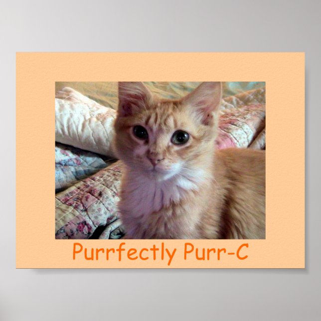 AFFICHE ACTUELLEMENT PURR-C (Devant)