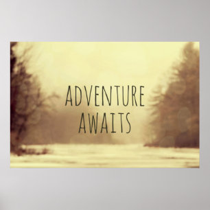Affiche Adventure Await II