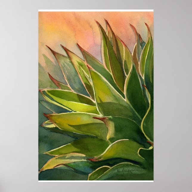 Affiche Agave attenuata (Devant)