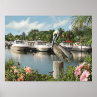 Affiche Alan Giana "Pelican Cove"