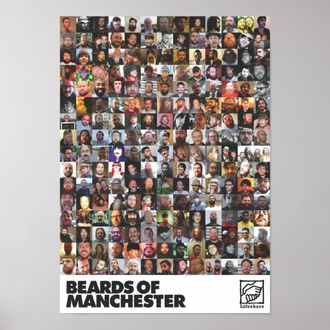 Affiche All Beares - format A3 (Devant)